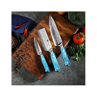 China 3 Pcs Viable Professional Damascus Steel Kitchen Knife Set 67 Layers VG10 Knife Set With Turquoise Handle for sale