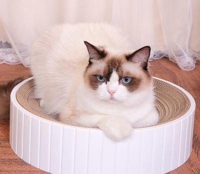 China Cat Claw Scratcher Box For Viable Modern Cats and Kitten for sale