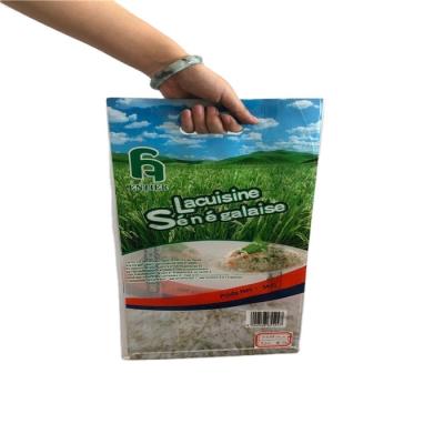 China 25kg 50kg packaging moisture proof plastic bags for rice packaging for sale