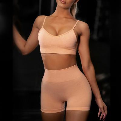 China Breathable Summer Sport Set Women Two Piece Sports Bra 2 Piece Shorts Seamless Yoga Sport Suit Gym Set for sale