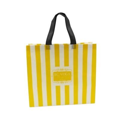 China China Fast Delivery New Shopping Bags Reusable Shopping Bags Eco Shopping Eco Friendly Factory Price PP Non Eco Bag for sale