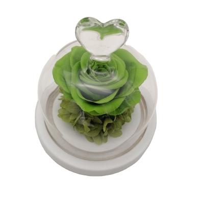 China Forever Eternal Stabilized Realistic Real Rose Preserved Flower In Glass Rose Dome for sale