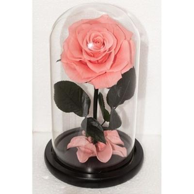 China Durable Wholesale Flower Head Preserved Roses Dried Flowers Tending Products Rose In Glass for sale