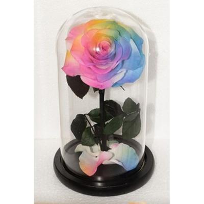 China The Only Durable Wholesale Video Long Lasting Preserved Rose Everlasting Flowers In Heart Eternal Gift Box for sale