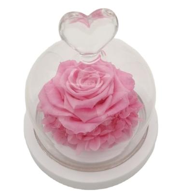 China Realistic Factory Sale Hot Austin Infinity For Flower Preserved Roses in Single Rose Box Gift for sale