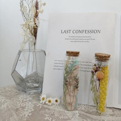 China Durable Wholesale Beautiful Ornament Dried Babysbreath Millet Preserved Flowers In Glass Bottle Craspedia for sale