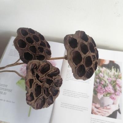 China Yunnan Direct Supply Eco-friendly Decoration Christmas Gift Dried Lotus Pod For Christmas Decorations for sale