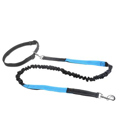 China Thoughtful Best Quality Quick Release Wholesale Quick Release Running Dog Leash Bungee Hands Free Dog Leashes for sale