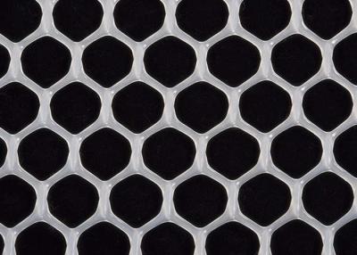 China Verdrängtes Polypropylen Plastik-Mesh Netting Hexagonal Hole 25g/m2 - 300g/m2 zu verkaufen