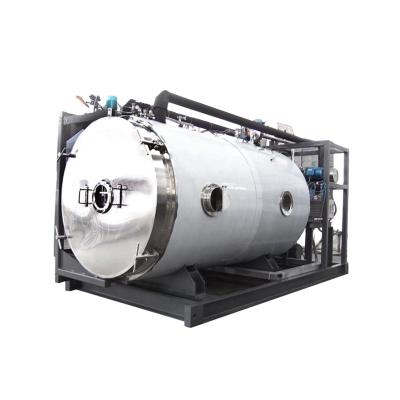 China food & Beverage Factory Full Automatic Large Industrial Vacuum Freezing Dryer For Fruit Vegetable for sale