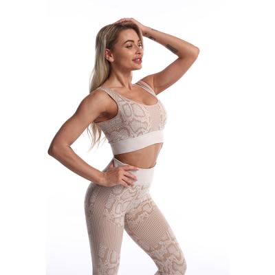 China Breathable Custom High Waist Snake Fitness Sets Seamless Gym Workout Sports Leggings Bra Yoga Sets for sale