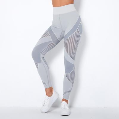 China New Design Mesh Breathable Workout Running Butt-Lift Seamless Fitness Leggings Women for sale