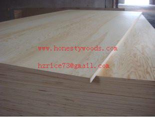 China poplar plywood for sale