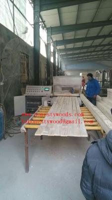 China Paulownia EG Primed boards/Paulownia FJ primed boards for sale