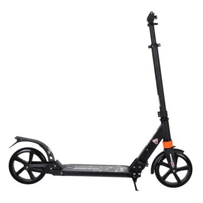 China High Quality Portable Sharing Two Wheels Outdoor Activities Off Road Kick Folding Broken-Resistant Scooter New for sale