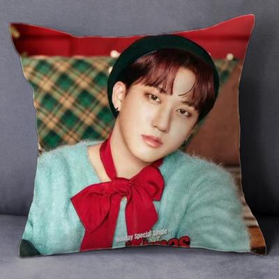 China Wholesale KPOP Idol Merchandise Kids Christmas Pillowcase Folded Stray Cushion Cover for sale