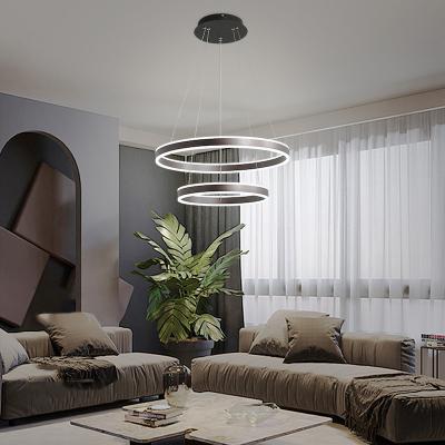 China Modern Long light chandelier indoor chandelier modern pendant light for sale