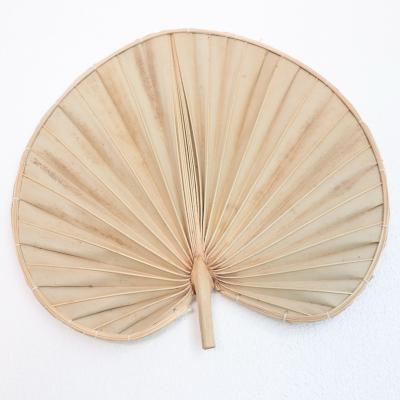 China Fan Art Boho Palm Dried Wall Hanging Minimalist Woven Home Decor Hand - Woven Fan Wall Decor for sale