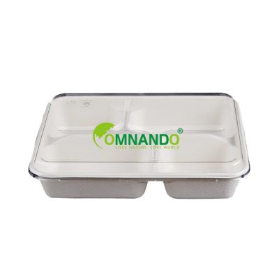 China Eco-Friendly Disposable Bento Box Microwaveable Takeaway Storage Container Disposable Food Bowls 3 Compartment for sale