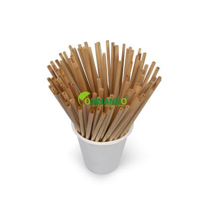 China Biodegradable Paper Straw Compostable Disposable Sugar Cane Straw Drinking Straw Environment Friendly for Hot and Cold for sale