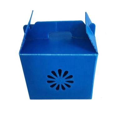 China Recyclable Plastic Packaging Storage Box For Fruits for sale