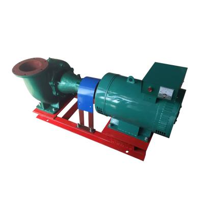 China Large Stainless Steel Or Cast Iron Hydroelectric Power Generator Turbine Mini Water Hydro Power Plant Water Flow for sale