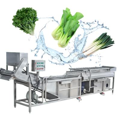 China Dates Factory Cheaper Price Industrial Fresh Leaf Vegetable Fruits Cleaning Drying Processing Machinery for sale