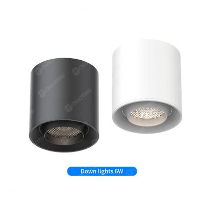 China Adjustable Anti Glare Magnetic Spotlight 3000k 6000W 24° Luminous Angle Downlight en venta