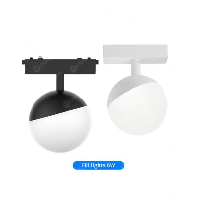 China Smart Graffiti Magnetic Track Light Living Room Hotel Spherical 6W Floodlight en venta