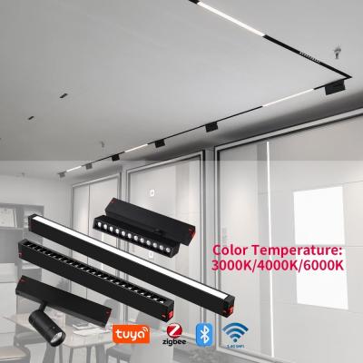 China 220V Smart Magnetic Track Light Home Without Main Light Lighting Led Line Light for sale