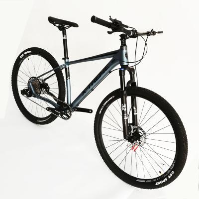 China Aluminum High Quality Durable Using Various Aluminum Men Folding Bicycle Mountain Bike for sale