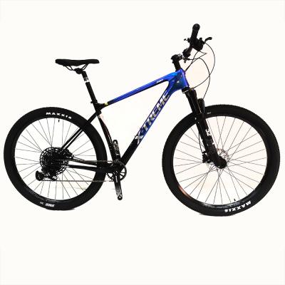 China Various Carbon Fiber XTREME Promotional Goods Using New Folding Bicycle Carbon Mountain Bike For Sale for sale