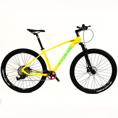 China Aluminum Alloy 29 Inch 27 5 Frame Size Mountain Bike Mtb 29 Bicycle With Steel Bead 30 Speed ​​Aluminum Alloy OEM Net Logo for sale