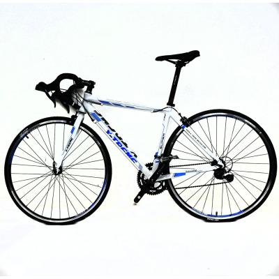 China XTREME Factory Supply Great Price Aluminum Alloy Bicycle Adult Road Bike for sale