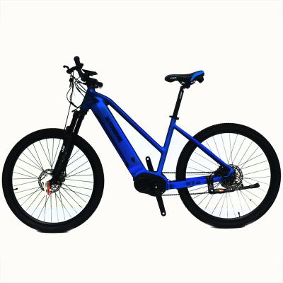 China Good Quality XTREME Various Aluminum Boys Foldable Electric Bicycle Mountain Bike Cheap 500W Motor for sale