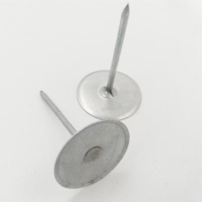 China Insulation Stainless Steel Insulation Rounded Head Pin And Nails for sale