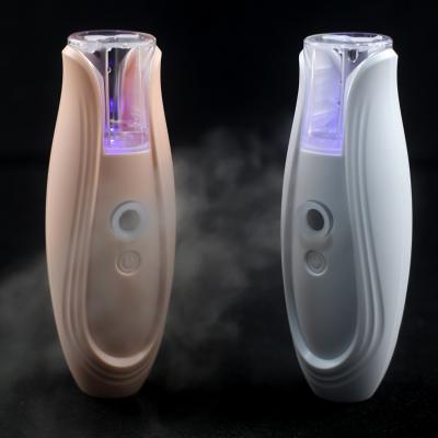 China NEW IFINE Moisturizer Beauty SPA Electric Professional Mist Ionic Deep Cleansing Facial Steamer for sale