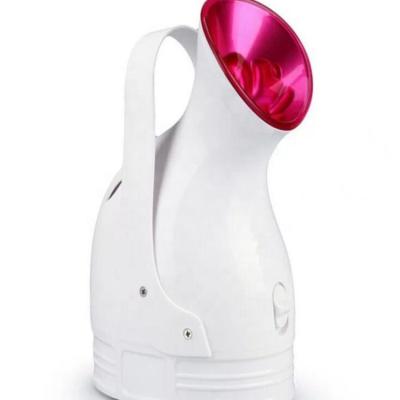 China 2019 Wonderful Personal Handy Nano Mist Sprayer Beauty Instrument Skin DEEP CLEANING Facial Steamer For Home Use for sale