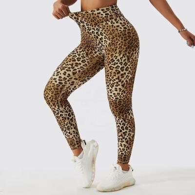 China Antibacterial Leopard Butt Sex Yoga Girls Seamless Warm Leggings Crac! crack! sport butt lifting high waist leggings for sale