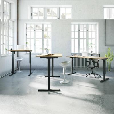 China Office Adjustable Electric Height Furniture Customization (Height) Lift Table for sale