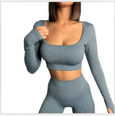 China Breathable Custom Seamless Long Sleeve Yoga Clothes Two Piece Fitness Gym Wear For Women Proof Squat Workout Jogging for sale