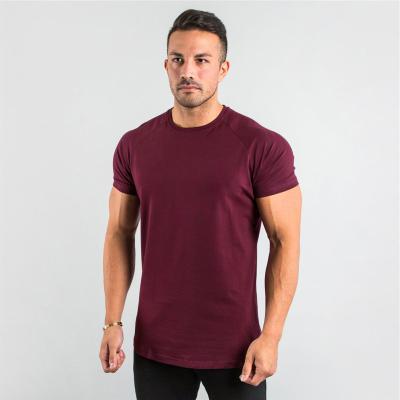 China 95%cotton Anti-wrinkle custom private logo fitness gym wear sports apparel men's plain blank t-shirt for sale