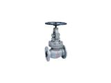 China flange globe valve,ASME for sale