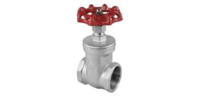 China Female Thread gate valve /NPT Threaded 304 316 stainless steel gate valve dn80 ,200wog gat for sale