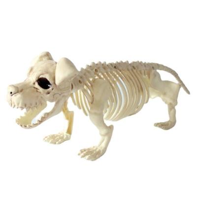 China Halloween Decoracion Plastic Skeleton Factory Customized Cat and Dog Spider Animal Skeleton Bat Ornament for sale