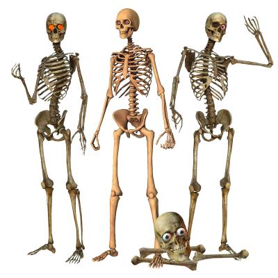 China Halloween Toys Normal Skeleton Halloween Decoration Skull Tombstone Halloween Mask for sale