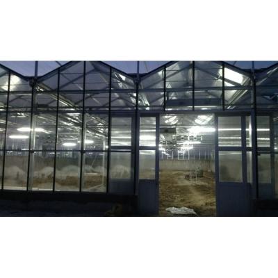 China Easily Assembled And Economic High Strength Poly Green Agricultural Tunnel House / Tomato Greenhouse For Sale for sale