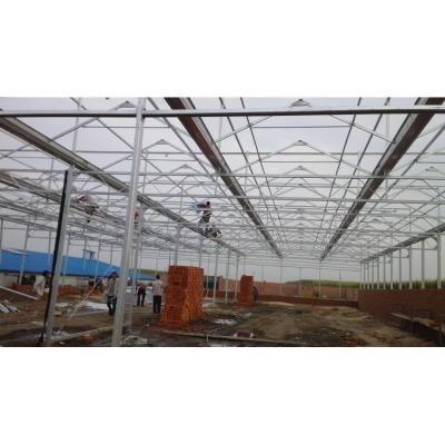 China PE factory wholesale tunnel agricultural greenhouse solar greenhouse for customized for sale