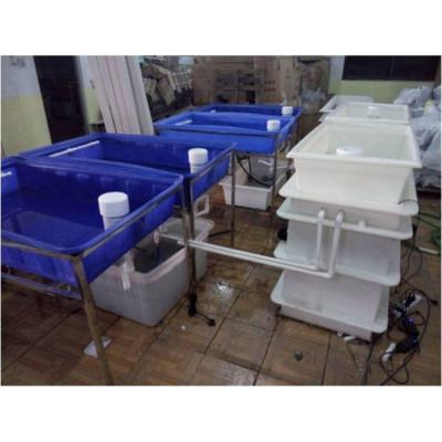 China Agriculture Planting Plant Aquaponics Wholesale Hydroponics Soilless Culture For Fish Planting Vegetables for sale