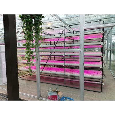 China 2021 High Quality Iron Greenhouse Agriculture Vertical Iot Plant For Modern Agriculture for sale